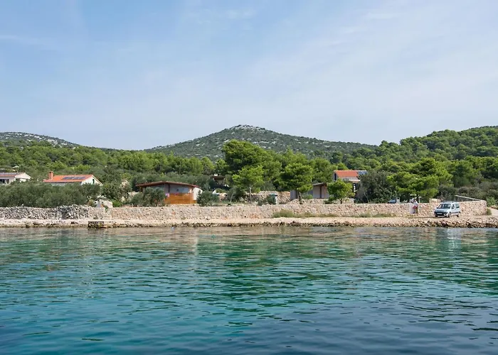 Mobile Rock Rose 1 تكون